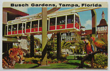 Tampa Florida Bush Gardens Brewery Parrots Cheetah Postcard  picture