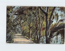 Postcard Lover's Lane in a California Park USA picture