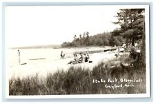 c1950's Beach Bathing Suits Boat Ostego Lake Gaylord MI RPPC Photo Postcard picture