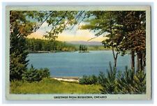 c1940s River Scene, Greetings from Buckhorn Ontario Canada Postcard picture