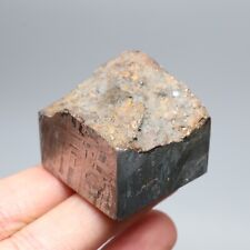 143g Muonionalusta meteorite part slice  A2117 picture