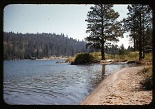 1950s Red Border Slide Donner Lake Landscape Trees Forest Beach #4374 picture