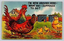 I'm New Around Here, What Am I Supposed To Do? VINTAGE Comic Postcard picture