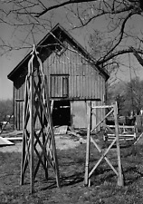Trellis & Barn, Sinclairville, Chautauqua N.Y. Vintage Old Photo 8.5x11 Reprint picture