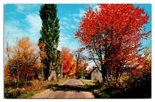 Cape Cod Fall Colors Massachusetts, Postcard picture