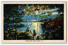 1940 Scenes Near North Creek Moon Scene New York NY Posted Vintage Postcard picture