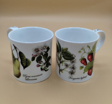 DUNOON Fine Bone China Malvern Botanical Print Fruit Coffee Mugs 2 England/India picture