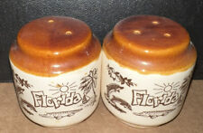 Vintage Brown & White Florida Salt & Pepper Shakers Made in Taiwan picture
