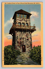 c1940s Lookout Tower Wayah Bald Mountain Range Western North Carolina P789 picture