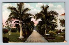 Miami FL-Florida, Washington Palm Walk, Vintage Postcard picture