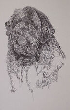 Newfoundland Dog Art Lithograph #71 Kline will draw your dogs name free. NEWFIE picture
