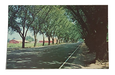 Picturesque Road in California's Beautiful Napa Valley Postcard picture