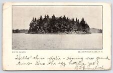 Brantingham Lake New York~Round Island~Has the Egg Hatched, Yet, Girlie? c1905  picture