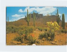 Postcard The Colorful Desert California USA North America picture