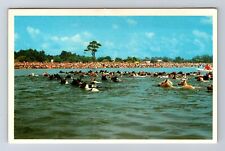 Chincoteague Island VA-Virginia, Wild Pony Swim, Souvenir Vintage Postcard picture