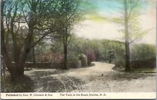 Dublin New Hampshire NH Turn In The Road Scenic View Vintage Postcard picture
