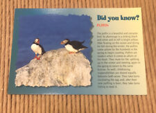 POSTCARD: Did You Know? - Puffin picture