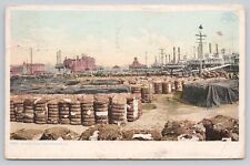 Postcard On The Levee New Orleans Louisiana Cotton Detroit Publishing picture