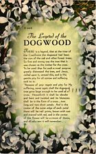 Vintage Postcard- N660. Legend of the Dogwood. Posted 194 5 picture