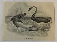 1888 magazine engraving~  A DINOSAUR AND A SEA MONSTER picture