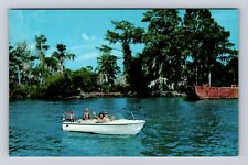 New Orleans LA-Louisiana, Boating among Moss Hung Cypress, Vintage Postcard picture