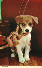Postcard Animals Dog Puppy With A Rope For A Leash On Guard Posted 1980 picture