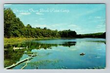 Birch Point Camp ME-Maine, Scenic Greetings  Vintage Souvenir Postcard picture