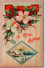 CHRISTMAS  POSTCARD Country Scene, Series B. No. 8, Vintage picture
