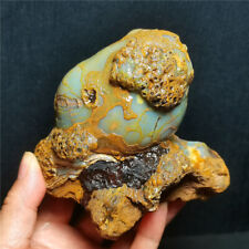 RARE 777G Natural Colorful Agate Crystal Peculiar Stone Specimen Healing WD1379 picture