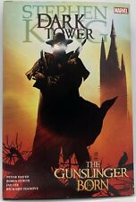 Stephen King Dark Tower : The Gunslinger Born Graphic Novel Peter David HC/DJ  picture