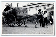 c1950's Java Ox Hay Cart Wagon Indonesia Vintage RPPC Photo Postcard picture