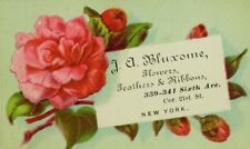 1870's-80's J. A. Bluxome Flowers Feathers & Ribbons Pink Rose Image P108 picture