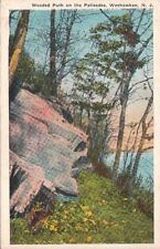  Postcard Wooded Path Palisades Weehawken NJ  picture