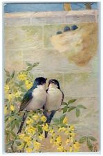 c1910's Song Birds Flowers Oilfacsim Oilette Tuck's Embossed Antique Postcard picture