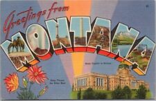 MONTANA Large Letter Postcard State Capitol & Flower / 