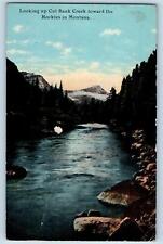 c1910's Looking Up Cut Bank Creek Towards The Rockies In Montana Posted Postcard picture