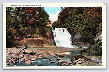 Postcard Menteth Falls Canandaigua New York Miller Paper Co. picture