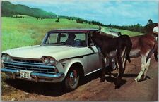 c1960s Black Hills, South Dakota Postcard Donkey Poking His Head into Car picture