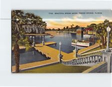 Postcard Beautiful Spring Bayou Tarpon Springs Florida USA picture