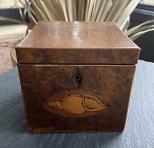Antique English Tea Caddy Seashell Marquetry Box picture