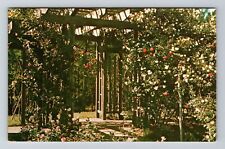 LA-Louisiana, Hodges Gardens, Highway 171, Roses Vintage Souvenir Postcard picture