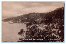 Wellington New Zealand Postcard Oriental Bay c1910 Antique Posted Tanner Bros. picture