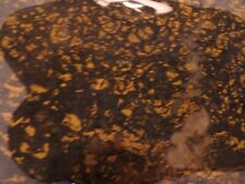NICE Large MIDDLETON Gold/Black JASPER Slab 7.5 x 4 inch x .25 picture