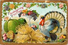 vintage postcard-Thanksgiving Greetings - turkey with fruit embossed posted 1909 picture