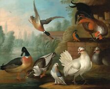 Art Oil painting Marmaduke-Cradock-Still-Life-with-Cockerels-Ducks-a-Kingf picture