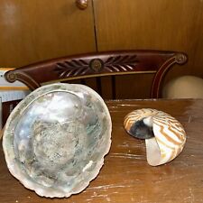 2 Pc Shell Lot Abalone & Tiger Striped Nautilus  Read picture