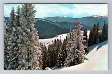 Vail CO-Colorado, Sun Down Bowl, Ski Area, Vintage Postcard picture
