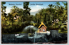 c1910s Madeira Funchal Portugal Jardim Municipal Vintage Postcard picture