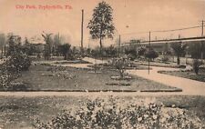 City Park Zephyrhills Florida FL Train Railroad c1910 Postcard picture