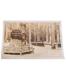 Postcard RPPC Entering Lanes Redwood Flat on the Redwood Highway Unposted picture